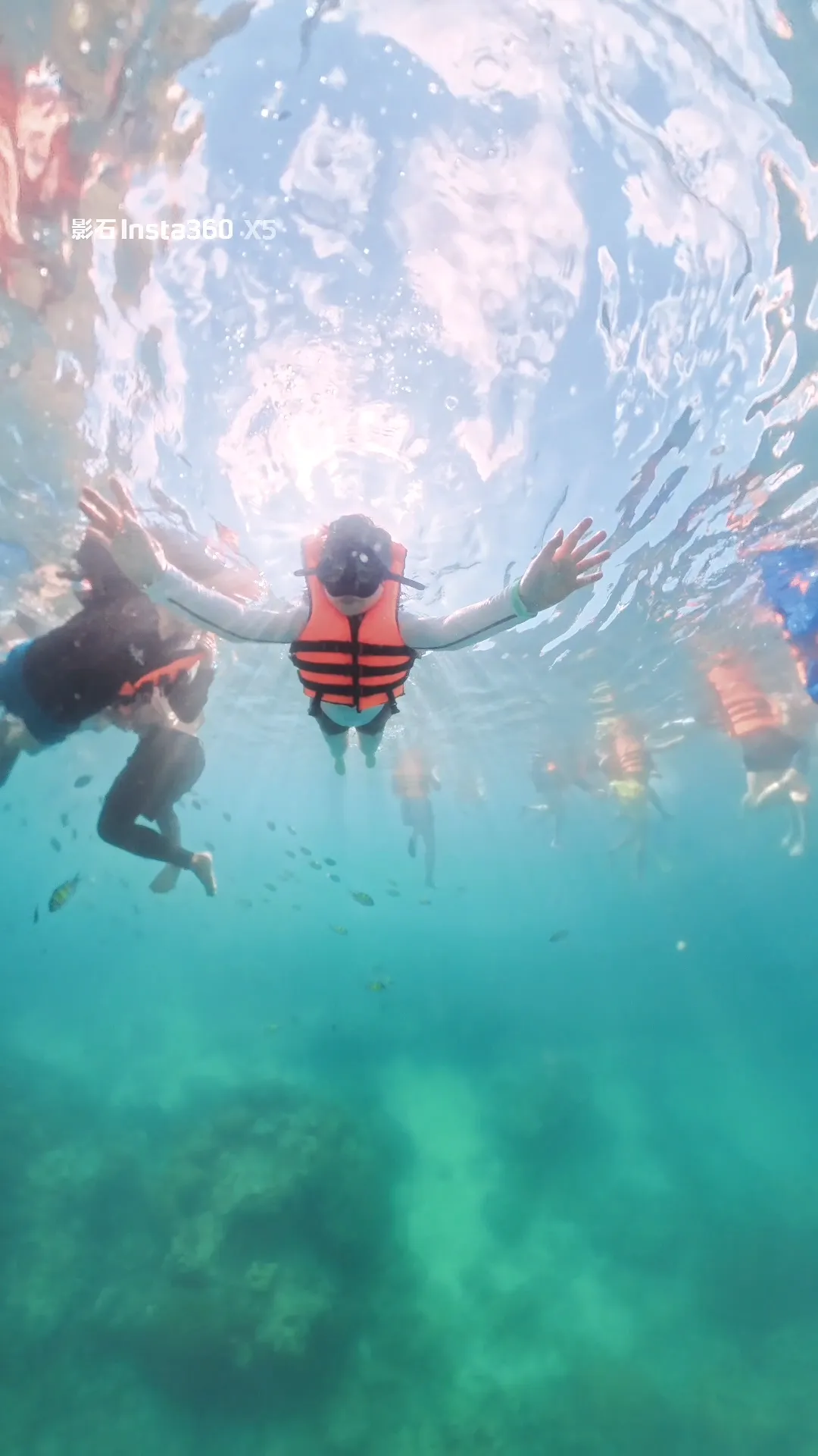 Îles Phi Phi Scenery 1