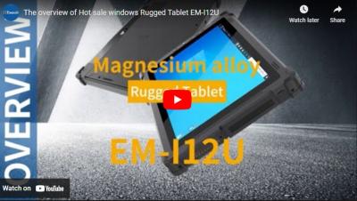 L'aperçu des EM-I12U-1 de tablettes robustes de vente de fenêtres à chaud